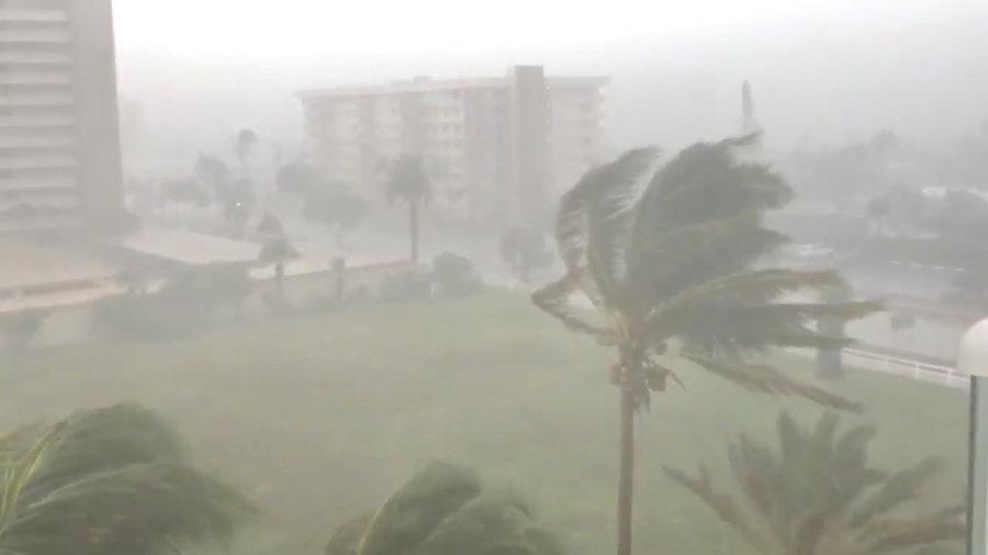 Trees sway as Storm Gordon descends on Fort Lauderdale, Florida, U.S., September 3, 2018 in this still image taken from a video obtained from social media. (@Saralina77/via Reuters)