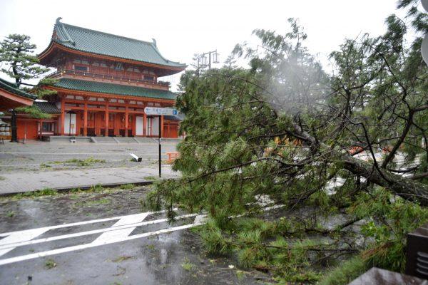 A tree damaged by Typhoon Jebi is seen in front of Heian Shrine in Kyoto, western Japan, in this photo taken by Kyodo September 4, 2018. (Kyodo/via Reuters)