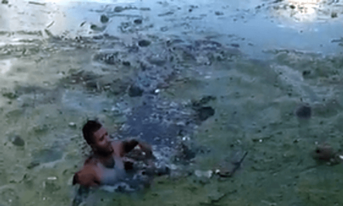 Florida Man Flees Traffic Stop, Jumps Into Algae-Filled Canal