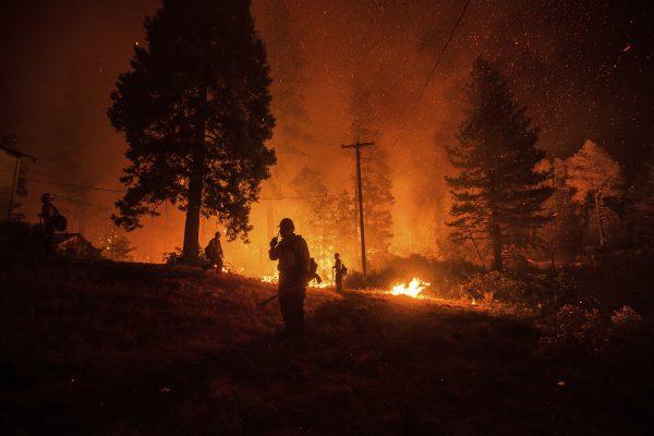 Firefighters monitor a backfire while battling the Delta Fire in the Shasta-Trinity National Forest, Calif., on Sept. 6, 2018. (AP Photo/Noah Berger)