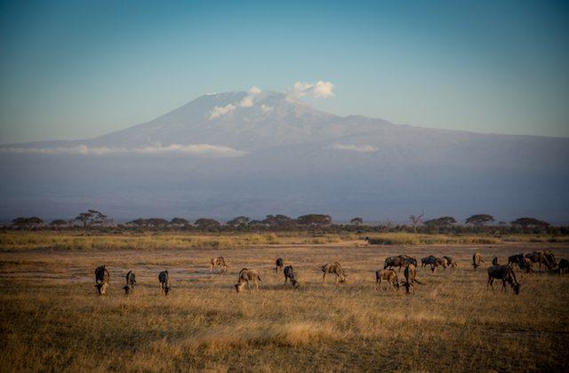 Kilimanjaro: Climbing My Way to Some Peace of Mind