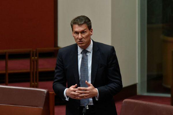 Senator Cory Bernardi addressing the Senate at Parliament House in Canberra, Australia on November 29, 2017. (Michael Masters/Getty Images)