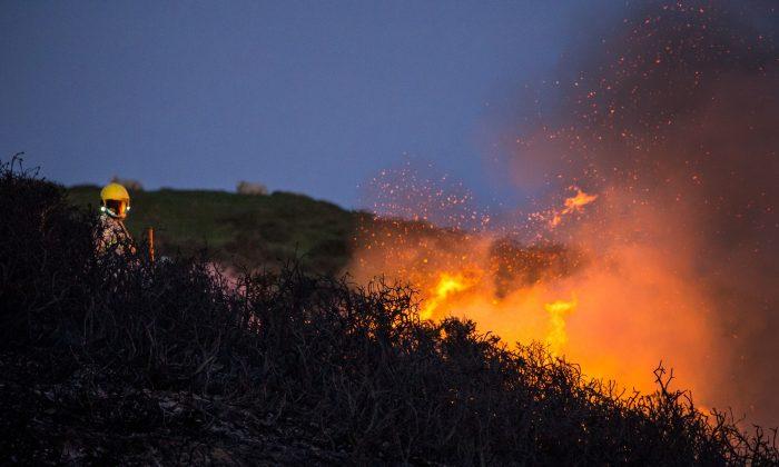 Update: Irving Fire Chars 100 Acres in Marin County