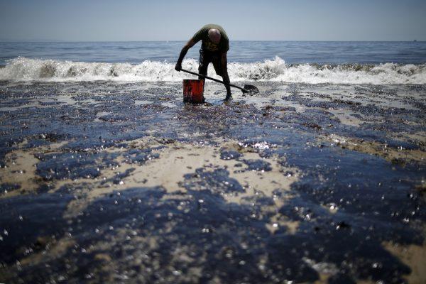 William McConnaughey, 56, who drove from San Diego to help shovel oil off the beach, stands in an oil slick in bare feet along the coast of Refugio State Beach in Goleta, Calif. on May 20, 2015. (Lucy Nicholson/Reuters)