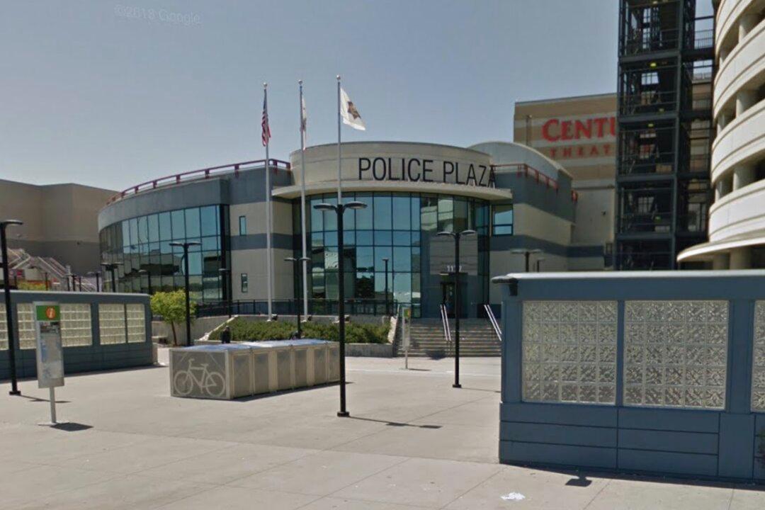 Man Arrested After Allegedly Ramming Police Car