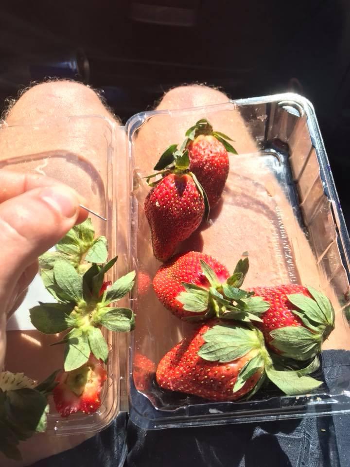 Photo from a Facebook Post by Joshua Gane showing the needle he found in a punnet of Woolworths strawberries bought from Strathpine, Queensland on Sept. 9, 2018. (Joshua Gane/Facebook)