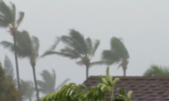 Tropical Storm Olivia Dissipates but Still Douses Hawaii With Heavy Rains