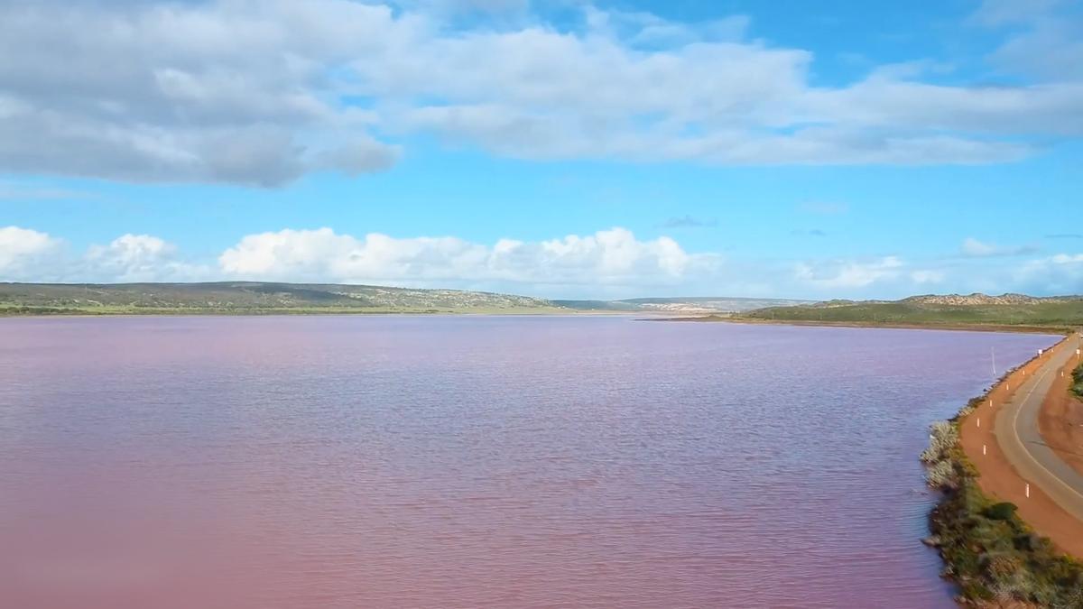 Melbourne Creek Turns Bright Pink; Environmental Officials Investigate