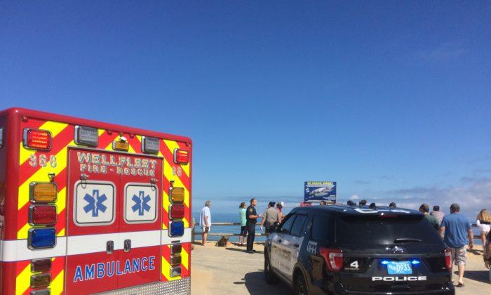 Police: Man Dies After Shark Attack Off Cape Cod