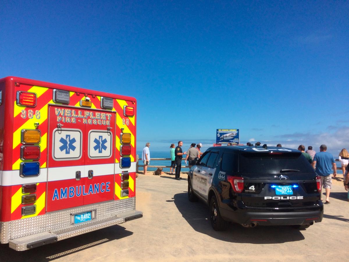 Police: Man Dies After Shark Attack Off Cape Cod