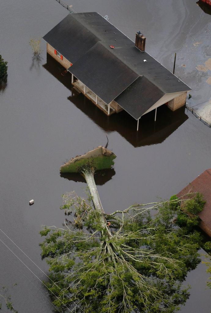 A downed tree uprooted by Hurricane Florence likes next to homes in New Bern, N.C., on Sept. 15, 2018. (AP Photo/Steve Helber)