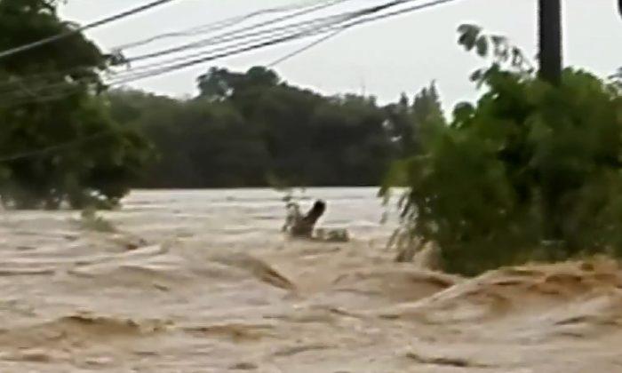 Video: Trapped in Typhoon Mangkhut’s Raging Floodwaters