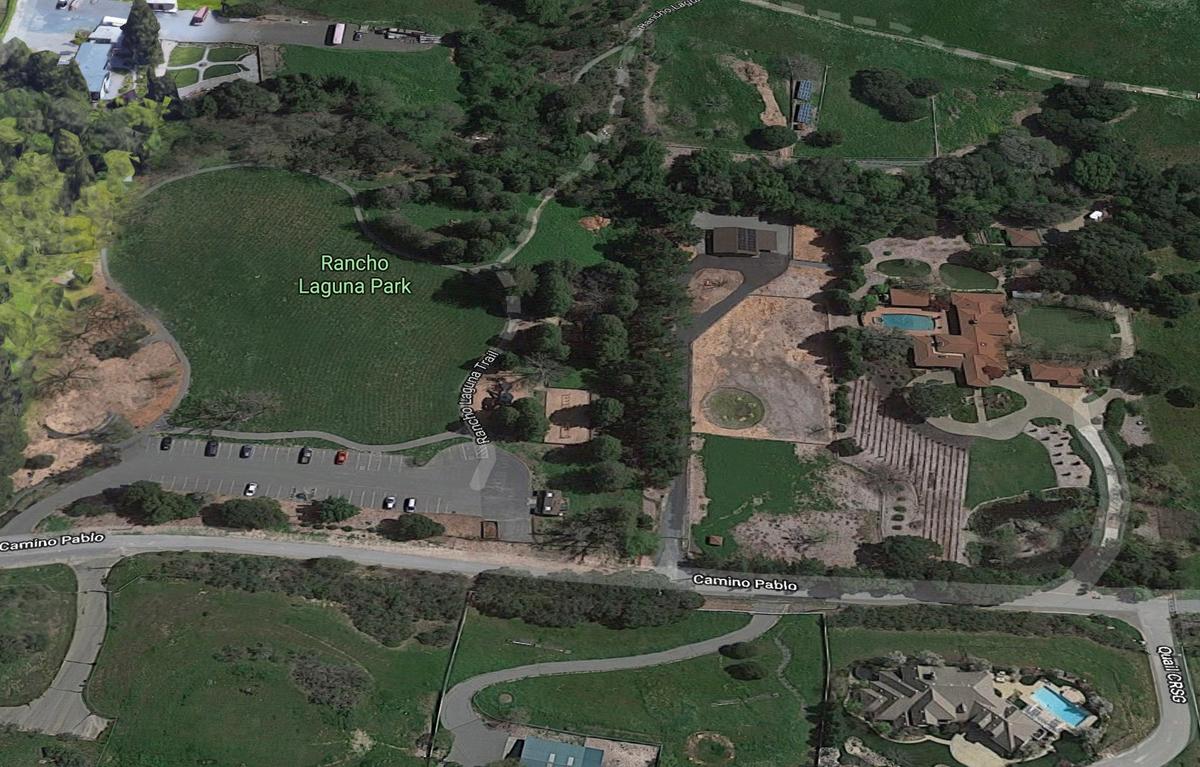 Local Activist Edy Schwartz Dies