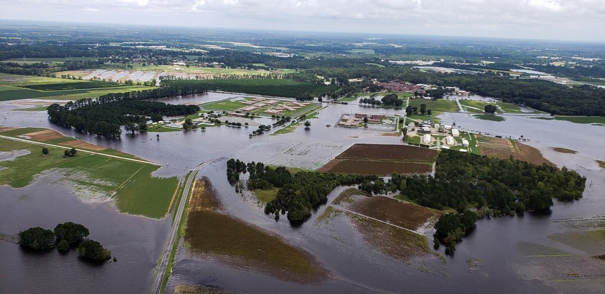 North Carolina Farmers Learned Nothing From Previous Hurricanes As Over 4 Million Animals Drown