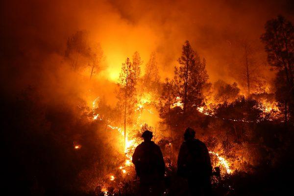 Firefighters monitor a back fire as they battle the Mendocino Complex fire near Lodoga, Calif. Aug. 7, 2018 (Justin Sullivan/Getty Images)