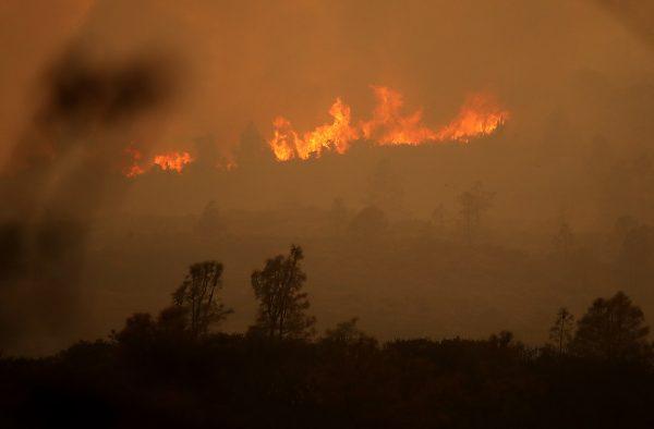 Flames from the Mendocino Complex fire burn a ridge near Lodoga, Calif. on Aug. 8, 2018 (Justin Sullivan/Getty Images)