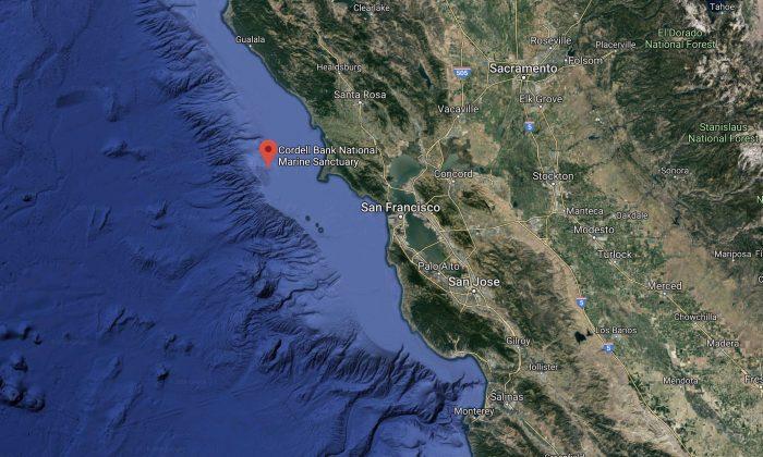 Noaa Studies Unexplored Seafloor Habitats Off Monterey Bay