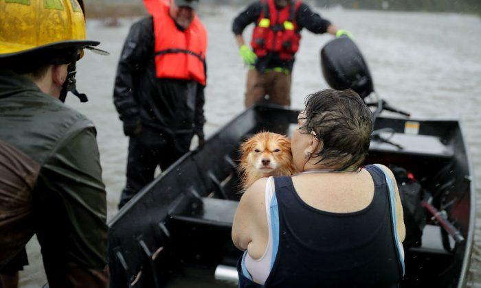 Animal Rescuer Arrested for Allegedly Medicating, Sheltering Hurricane Pets Without Permit