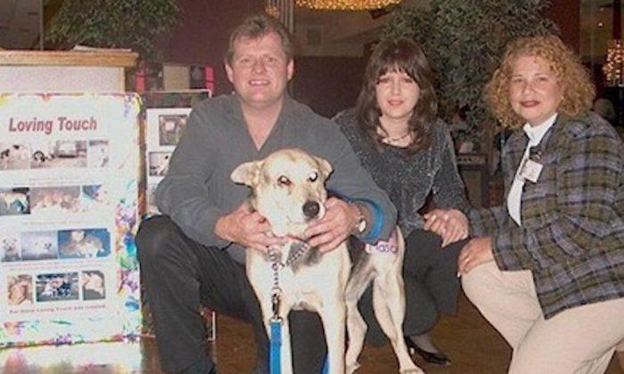 Frail Dog Swam for Miles to Reunite With Rescuers