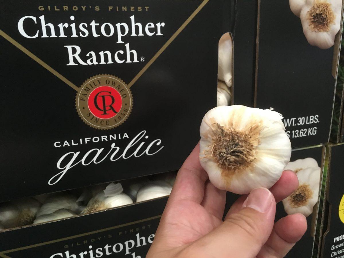 A bulb of Christopher Ranch garlic, in Gilroy, Calif. on Sept. 26, 2018. (Nancy Han/NTD)