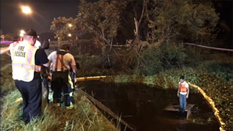 Hillsborough County, Florida first responders rescued a man whose car had slid into a retention pond. (Fox screenshot)