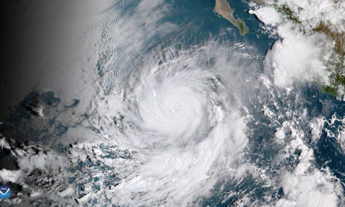 Hurricane Rosa Heading for Baja California Weakens in Pacific