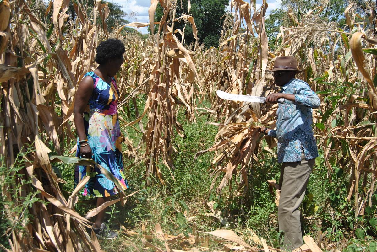 Former Star Marathoner Helps Resolve Deadly Tribal Conflicts in Kenya
