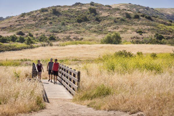 The scenic Bommer Canyon, part of the Irvine Open Space Preserve, is ideal for leisurely hikes and nature walks. (Courtesy of Destination Irvine)