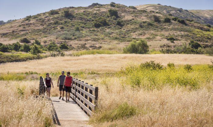 Fire Mitigation Soon Underway at Irvine’s Bommer Canyon Preserve