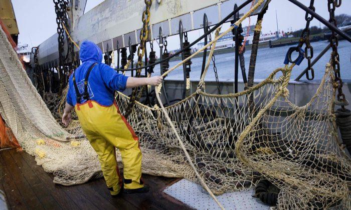 Electrical Fishing Causing Damage to Major Marine Sanctuary, Groups Claim