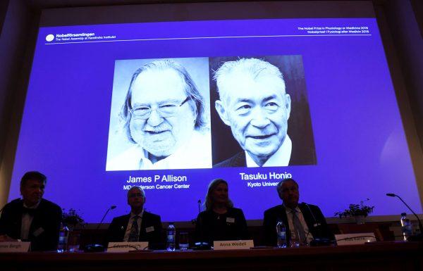 The Nobel Prize laureates for Medicine or Physiology 2018 are James P. Allison, U.S. and Tasuku Honjo, Japan presented at the Karolinska Institute in Stockholm, Sweden, on Oct. 1, 2018. (TT News Agency/Fredrik Sandberg via Reutesr)
