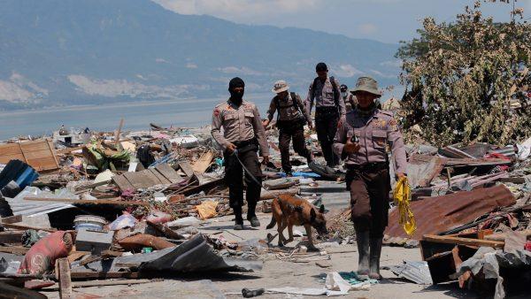 A police K9 unit continues to search for victims in the wreckage following earthquakes and a tsunami in Palu, Central Sulawesi Indonesia, on Oct. 3, 2018. (Tatan Syuflana/AP)