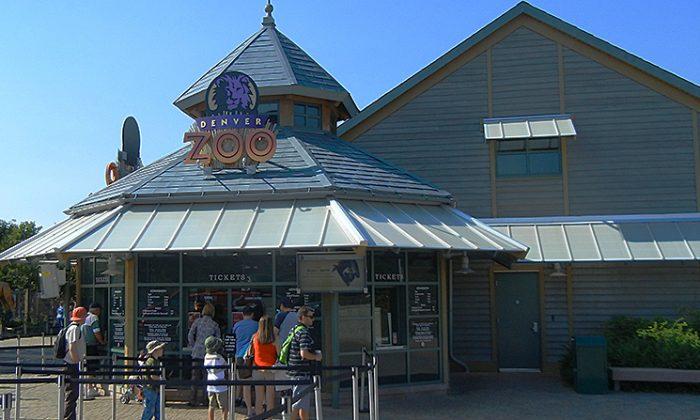 Denver Zoo Evacuated After Threat of Airplane Attack