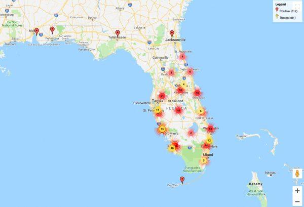 New Guinea flatworm sightings in Florida, according to EDDMapS, an invasive species monitoring system set up by Center for Invasive Species and Ecosystem Health at the University of Georgia. (Screenshot via EDDMapS)