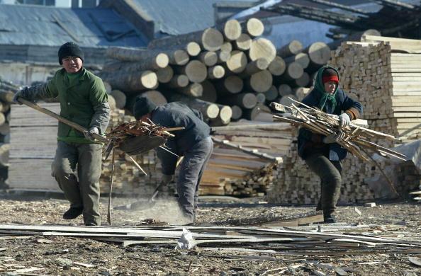 Workers at a timber plant gather scraps in Suifenhe, a city in China's Heilongjiang Province, on Jan. 13, 2003. (Frederic J. Brown/AFP/Getty Images)