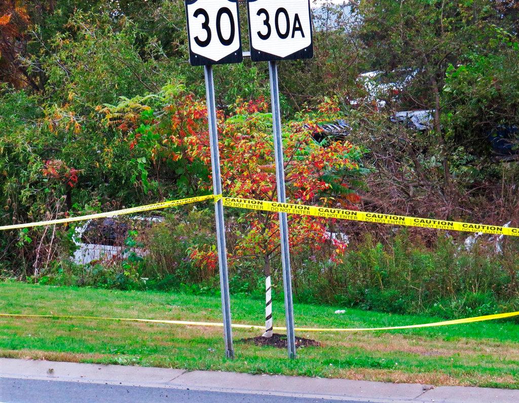 In this Oct. 6, 2018 photo, a limousine, left, has landed in the woods following a fatal crash in Schoharie, N.Y. (Tom Heffernan Sr. via AP)