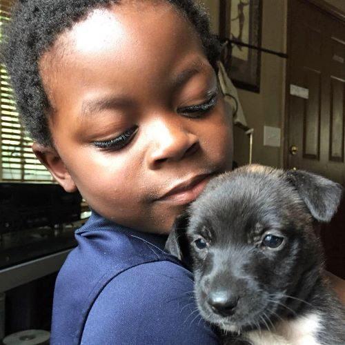 When children in her neighborhood began to connect with uncared for dogs in the community, Grace Hamlin officially began her nonprofit organization. (Courtesy of W-Underdogs, Inc.)