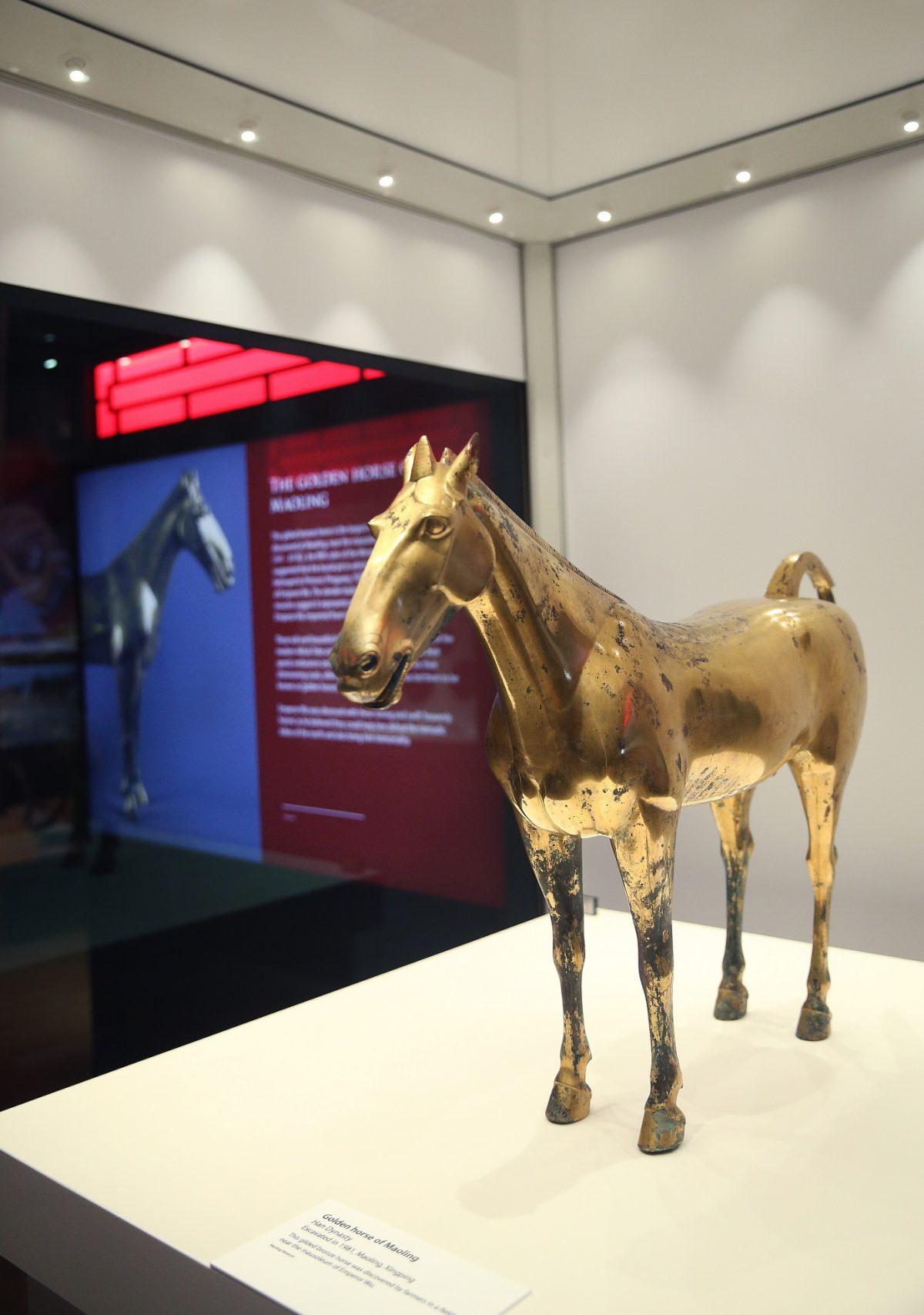 The famous “Golden Horse of Maoling” stands 2 feet tall, the largest gilded horse found in China to date, at the World Museum in Liverpool, England. (Gareth Jones)