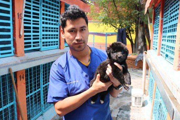 Veterinarian Jose Carlos Hernandez Trejo with a rescued puppy at the Clinica Veterinaria Delegacional in Venustiano Carranza, Mexico City, on Oct. 10, 2018. (Tim MacFarlan/Special to The Epoch Times)