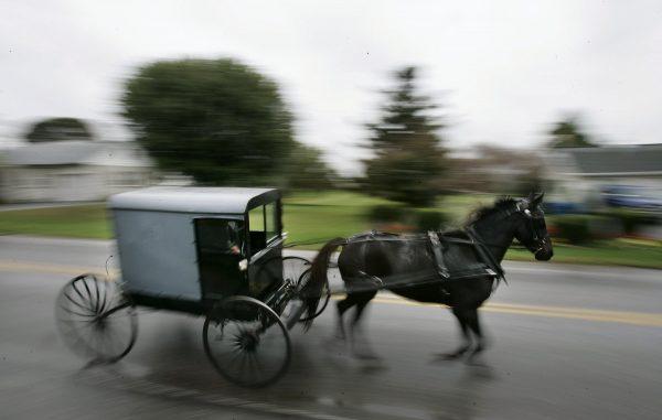 File photo of a horse drawing an Amish carriage. (Chris Hondros/Getty Images)