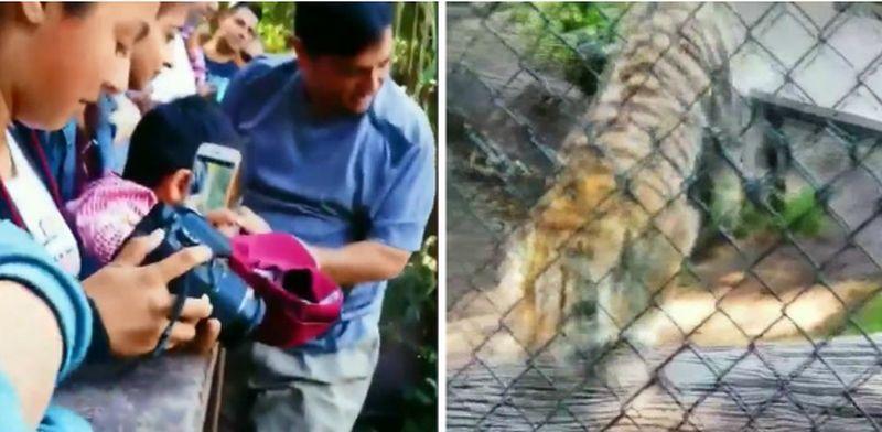 A man was filmed jumping over a barrier near a tiger cage at the Oakland Zoo in Oakland, Calif. (Fox)