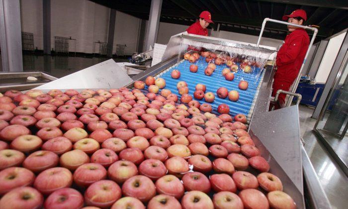 Chinese Juice Company Uses Rotten Apples for Export Products, Local Reports Say