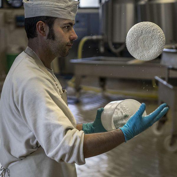 As the forming wheels of pecorino drain, they're regularly flipped with expert hands to prevent settling. (Courtesy of the Consortium for Pecorino Toscano PDO)