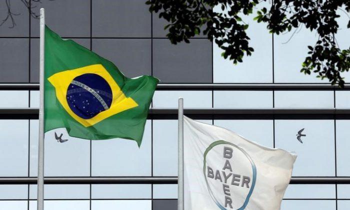 Brazil Court Denies Monsanto Bid to Halt Seed Licensing to Bankrupt Firm