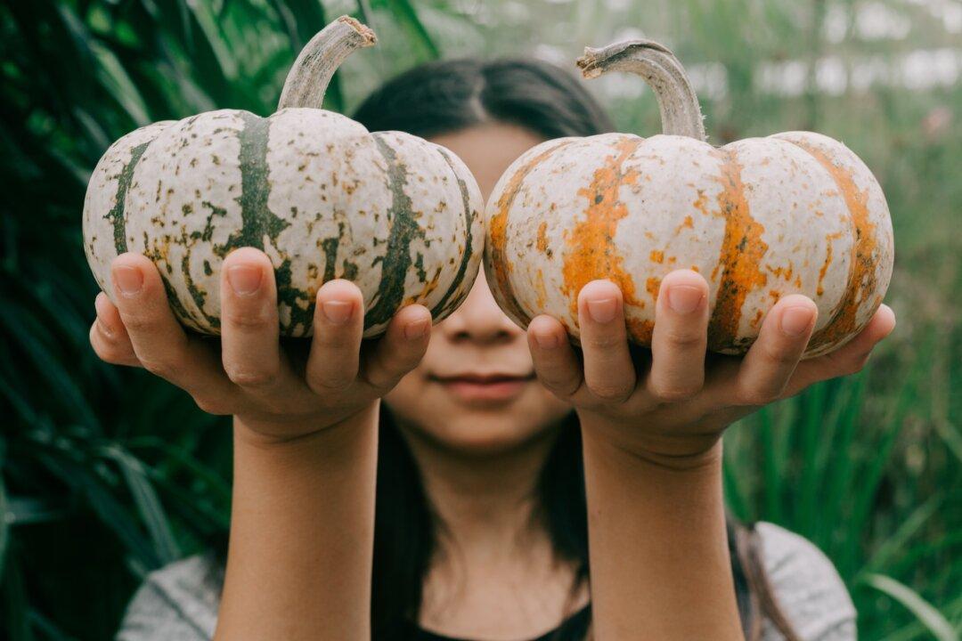 Autumn’s Pumpkins Pack a Nutritional Punch