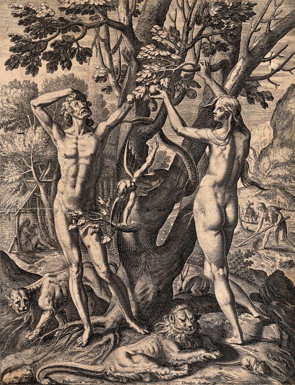 Eve may have picked the apple from the Tree of Knowledge, but Adam did not seem overly opposed to eating it. Line engraving by Theodor de Bry (1528–1598) after Jodocus van Winghe (1544–1603). (Public Domain)