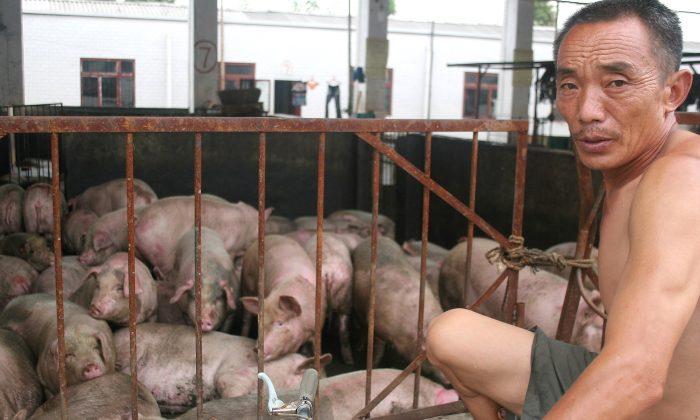 African Swine Fever Spreading to Southern China