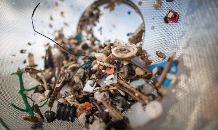 Tonnes of Microplastics Polluting Seafloor: Australian CSIRO