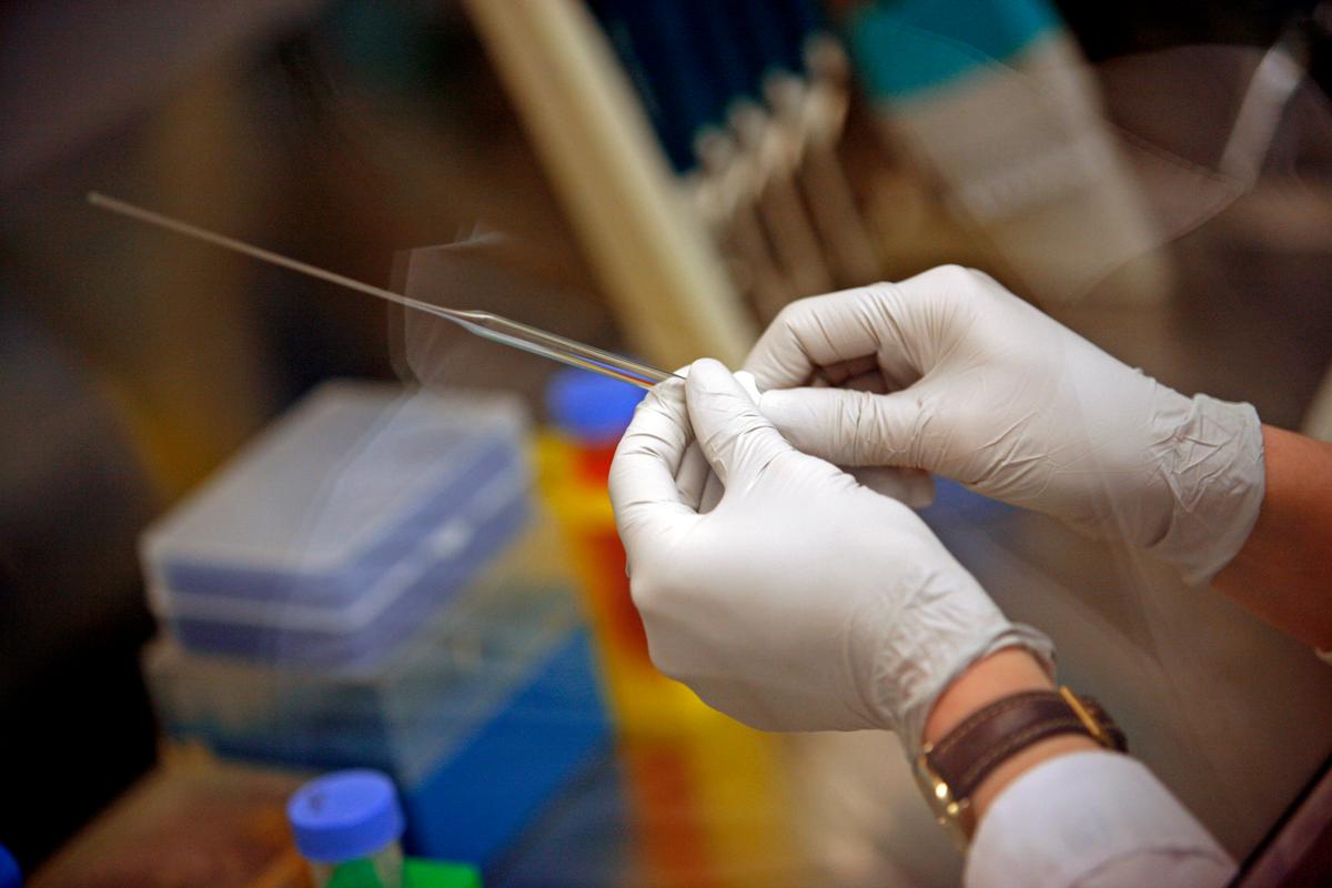 Surprising Results Found With Stem Cell Treatment