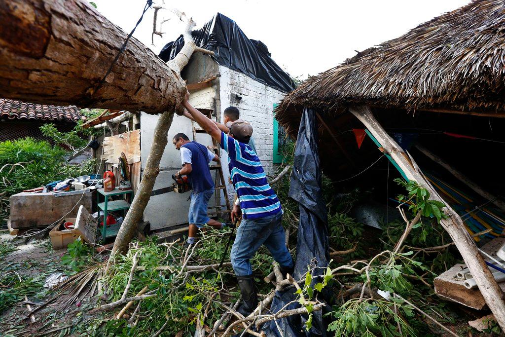 A resident works to remove a felled tree in the aftermath of Hurricane Willa, in Escuinapa, Mexico, Oct. 24, 2018. (AP Photo/Marco Ugarte)